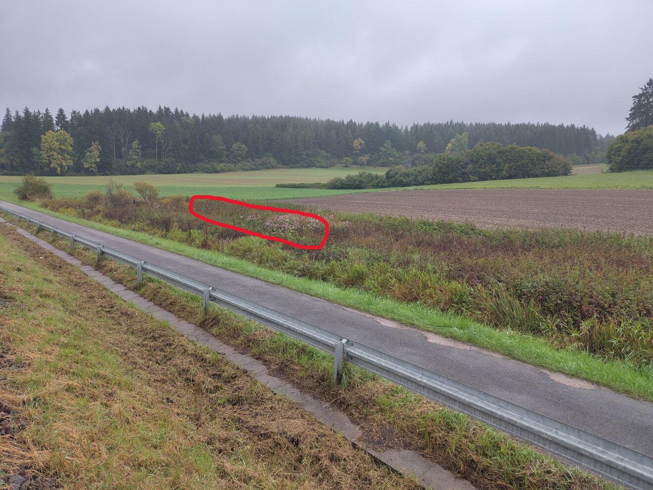 Gewässerentwicklung: Kleingewässer in Aufen für den Biotopverbund
