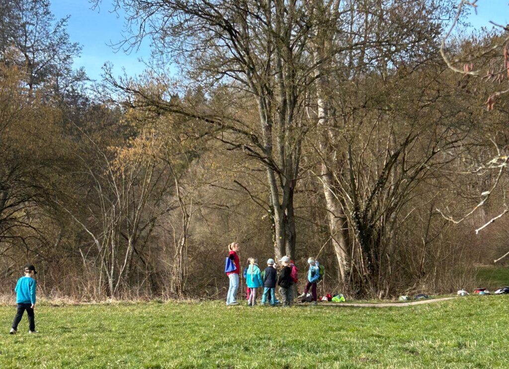 Urkundenverteilung bei der Wald-Rallye