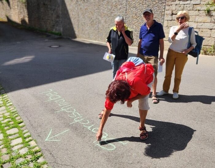 Kreide, Pflanzen-App und Neugier: Krautschau in Donaueschingen mach 36 Pflanzenarten sichtbar