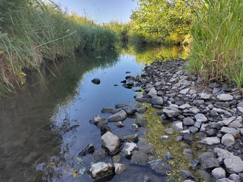 Klimawandel ist existenzbedrohend für das Leben im Wasser