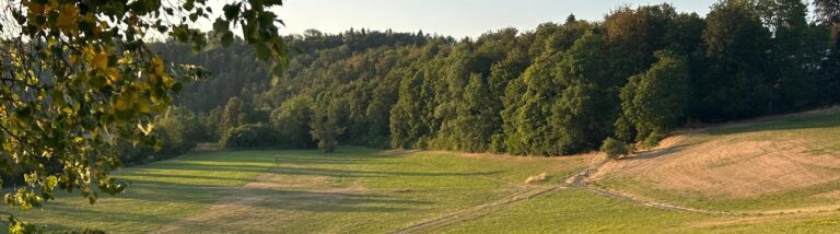 Die FÖJ-lerinnen verabschieden sich