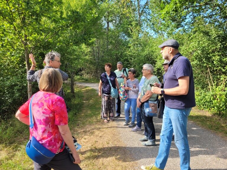 Bad Dürrheim blüht auf: Gemeinsam für mehr Artenvielfalt